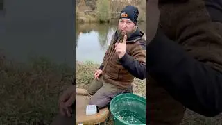 Ultimativer Tipp zum angeln auf Quappe? #angeln #fishing