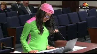 Florida State Senator Rosalind Osgood Presenting Bill on Resident Status for Tuition Purposes
