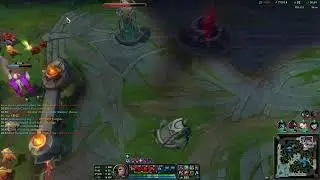 W Max Swain Support 12