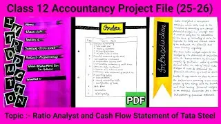 Tata Steel Ratio Analysis & Cash Flow Statement | Accountancy Project Class 12 (2025-26) | With PDF