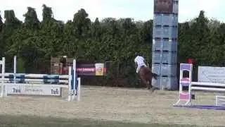 RIP: Indira van Het Poeleind: Nabab de R&ecirc;ve X Cash, &deg;2008, 1m10 Jesseren 2013