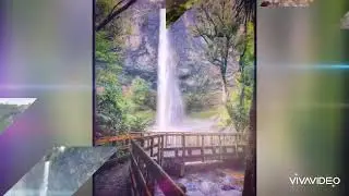 Wairēinga  | Bridal Veil Falls (Waikato NZ )