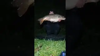 Schubkarper 13kg visput andijk