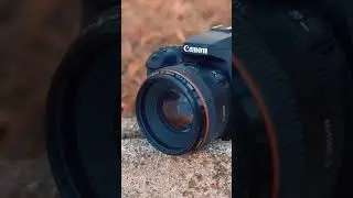Canon 90d #shorts