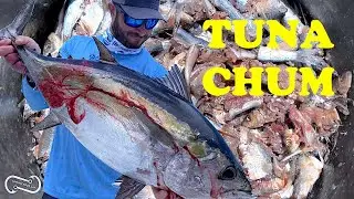 CHUMMING FOR TUNA AND KINGFISH   IT'S TOURNAMENT MONEY TIME!!!!