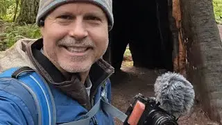Lake Crescent Washington Day Hike