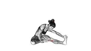 Body Weight Based Seated Single Leg Hamstring Stretch Guide 06921201 Seated Single Leg Hamstring Str