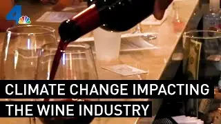 Climate Change Is Impacting the Wine Industry, Part 1 | NBCLA