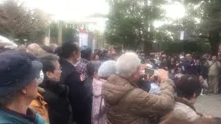 東京大衆歌謡楽団神社奉納ライブ⑤2018.10.4UP 旅のつばくろ