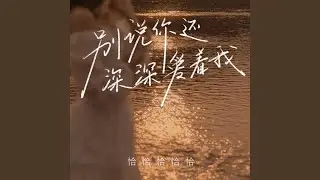 别说你还深深爱着我 (DJ九零版)