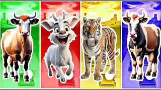Funny Parrot vs Funny Bison vs Funny Dolphin vs Funny Buffalo - Tiles Hop Coffin Dance