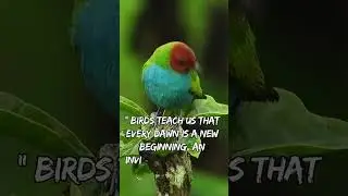 Taught by Nature: Life Lessons from the Wild