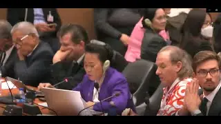 2090th Meeting, 89th Session, Committee on the El    UN Web TV