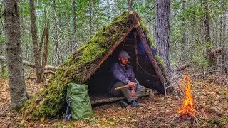 Bushcraft MOSS SHELTER - Primitive Build - Cook Steak on Coals, Raised Bed, Natural Survival Shelter