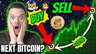 Crypto Meme Coin: Can the 'Dog Money' Phenomenon Repeat Bitcoin's Growth?