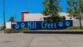 Mural Project at Mill Creek Middle School (Kent, WA)