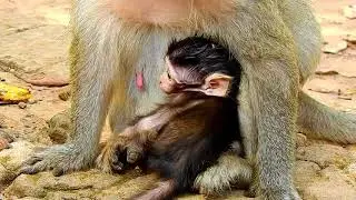 Cute Baby Quinton