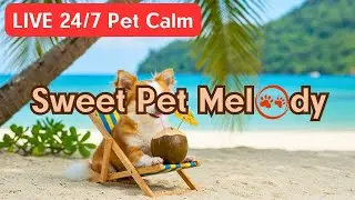 LIVE: Watch This Dog Escape to a Tropical Paradise 🏖️🐕 | The Music That Calms Every Soul