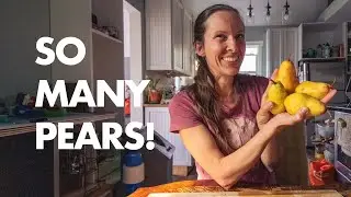 HOMEMADE || Pear Treats Part ONE