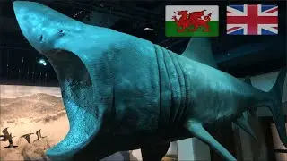 🏴󠁧󠁢󠁷󠁬󠁳󠁿National Museum During a Pandemic, Cardiff, UK