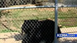 Local Animal Group Reacts To Ohio Animal Regulations