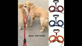 Nylon durable double leash with soft handle for two dogs