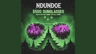 $500 Sunglasses