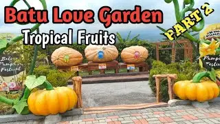 BALOGA Batu Love Garden Part 2 || Tropical Fruits