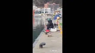 #바다낚시 이젠 #부산 기장 #대변항 #학꽁치가 안올라오나봐요 어서오세요~~~