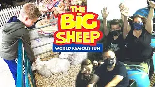 The Big Sheep Vlog Summer 2020