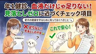 【聞き流しでOK🐶】年1健診、血液だけじゃ足りない！見落としゼロに近づくチェック項目🏥