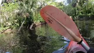 Kayaking Riverbend Park (Jupiter, Florida)