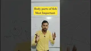 Body parts of fish #new #shorts#fish #structure #parts #trending #shortsfeed #viralvideo #ankitpal