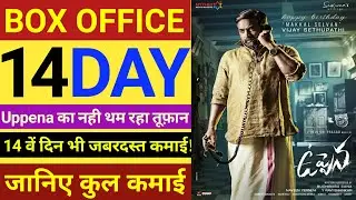 Uppena 14th Day Box Office Collection, Vijay Sethupathi, Panjaa Vaishnav, Tej Krithi Shetty.