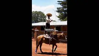 Why Cowboys are called Cowboys? #cowboys #vaqueros s #spanish  #followers #history