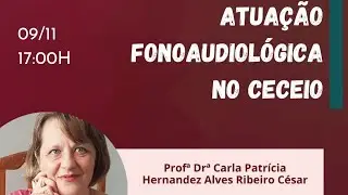 Atua&ccedil;&atilde;o Fonoaudiol&oacute;gica no Ceceio