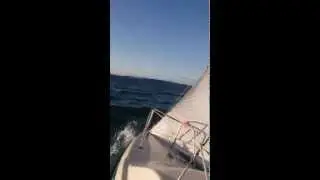 Hunter europa 19 sailing