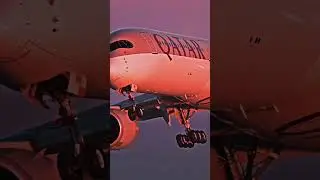 Qatar Aeroplane #music #flightsimulator #airlinecrew #inflightexperience #automobile #cover