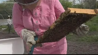 The Buzz: Community apiary teaches beekeeping with a sweet payoff