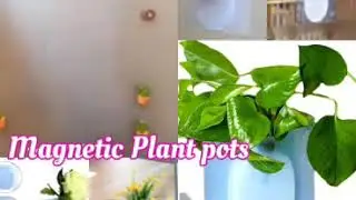 Magnetic Plant Pots / online shopping / Plant lovers / Interior Decoration