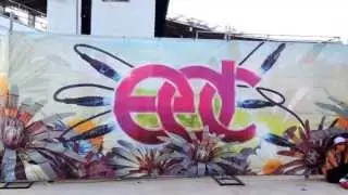 EDC Orlando 2013 After Movie