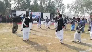 Saraiki jhumar in BZU... With VC