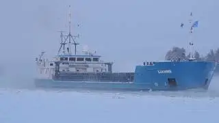 Rahtilaiva Lianne kovalla pakkasella Kallavedell&auml;