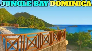 Jungle Bay Dominica: Top Things To Do and Visit
