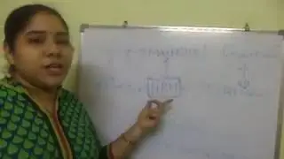 HRM as a Central Sub System Telugu|COMMERCE TUTORIALS|TSNPDCL JPO SYLLABUS