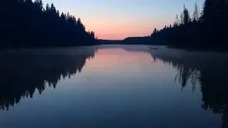 A Perfect Sunset Over The Water In The Forest