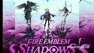 Fire emblem shadows ost battle theme (Screw you nintendo and your copyright) 