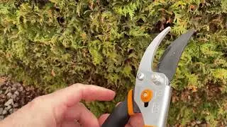 Fiskars Bypass Pruning Shears Garden Clippers   Plant Cutting Scissors Review
