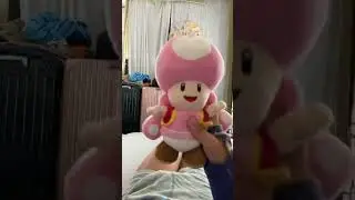 Toadette is mean to Nabbit for the first time