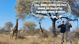 Africa Part IV - Baobab Ridge Safari Lodge in Klaserie Private Nature Reserve